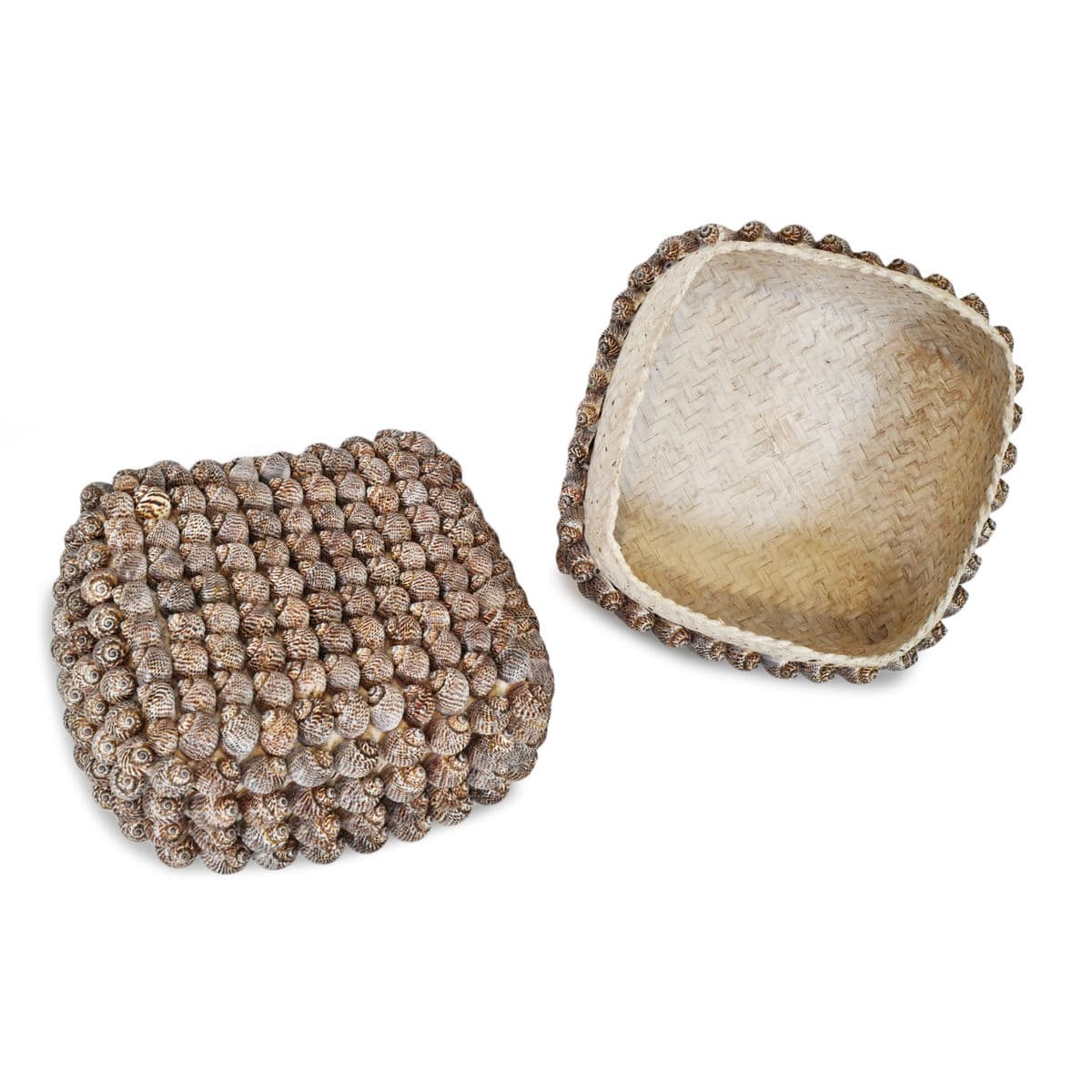 Bali Shell Box Large - Thumbnail 4