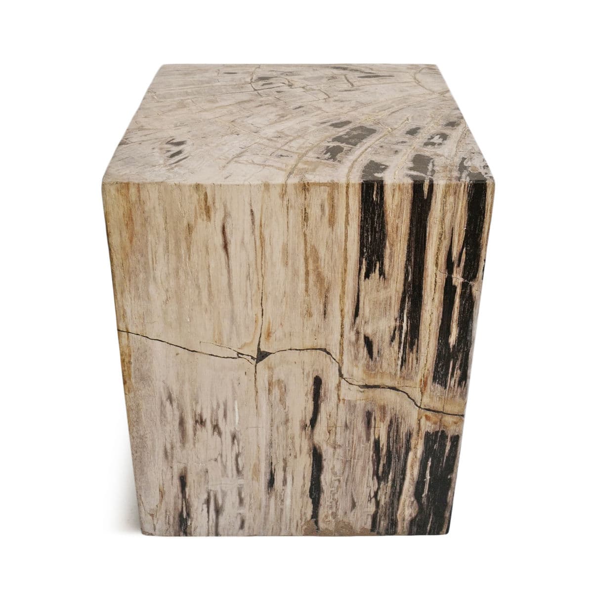 Square Petrified Wood Stump Table - Thumbnail 4