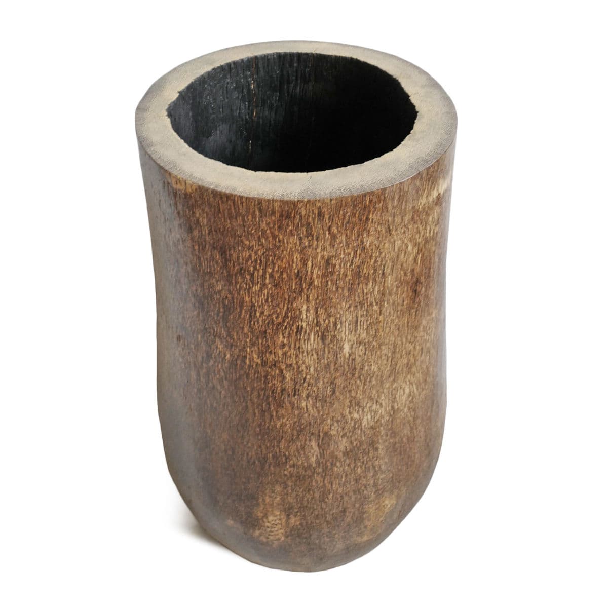 Coconut Palm Pot - Thumbnail 4