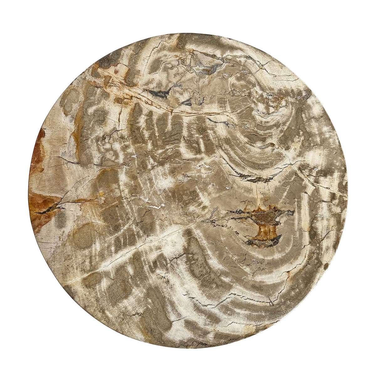 Petrified Wood Pillar Side Table - Thumbnail 4
