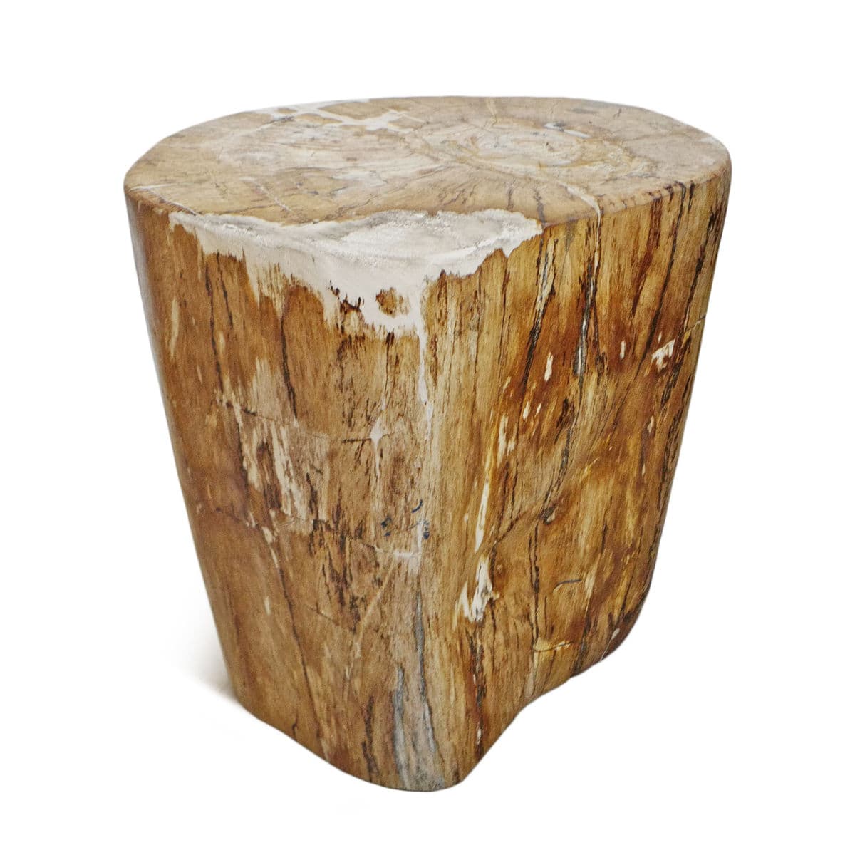 Petrified Wood Stump Stool - Thumbnail 4
