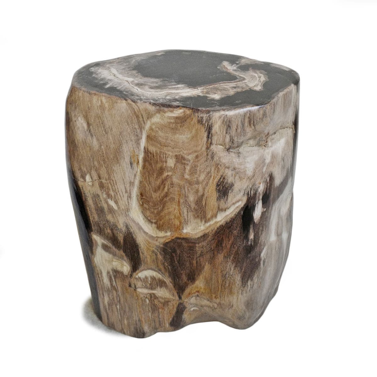Petrified Stump Stool - Thumbnail 4
