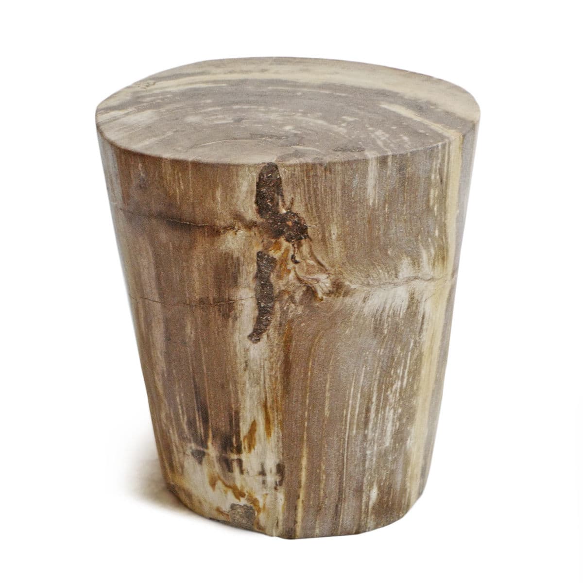 Petrified Wood Stump Stool - Thumbnail 4