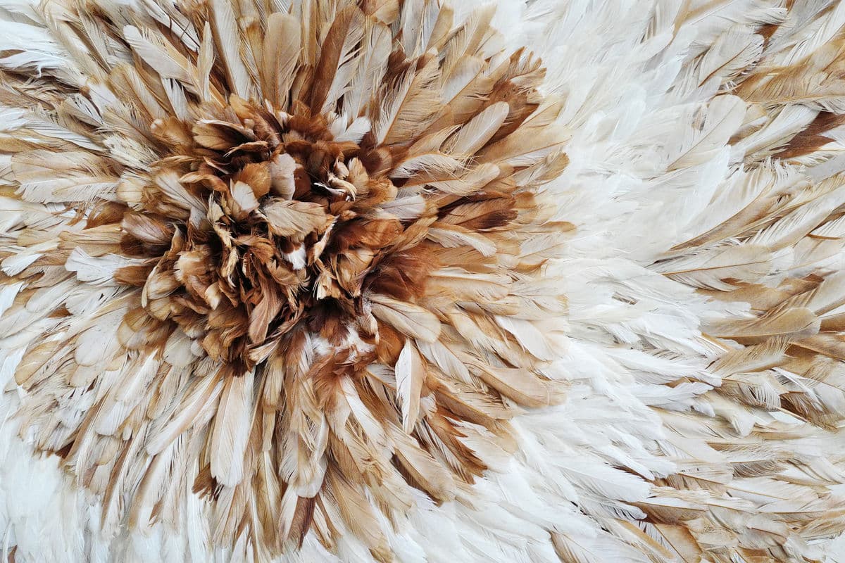 Juju Feather Hat Beige & White Wall Decor - Thumbnail 4