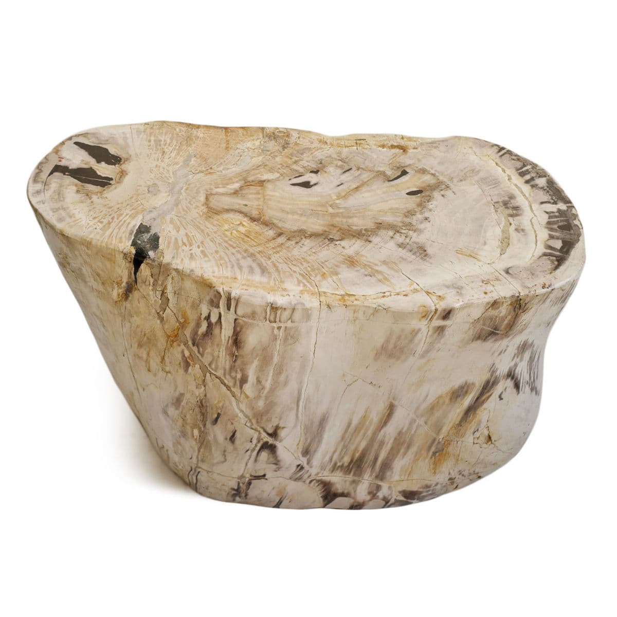 Petrified Wood Stump Stool Table - Thumbnail 4