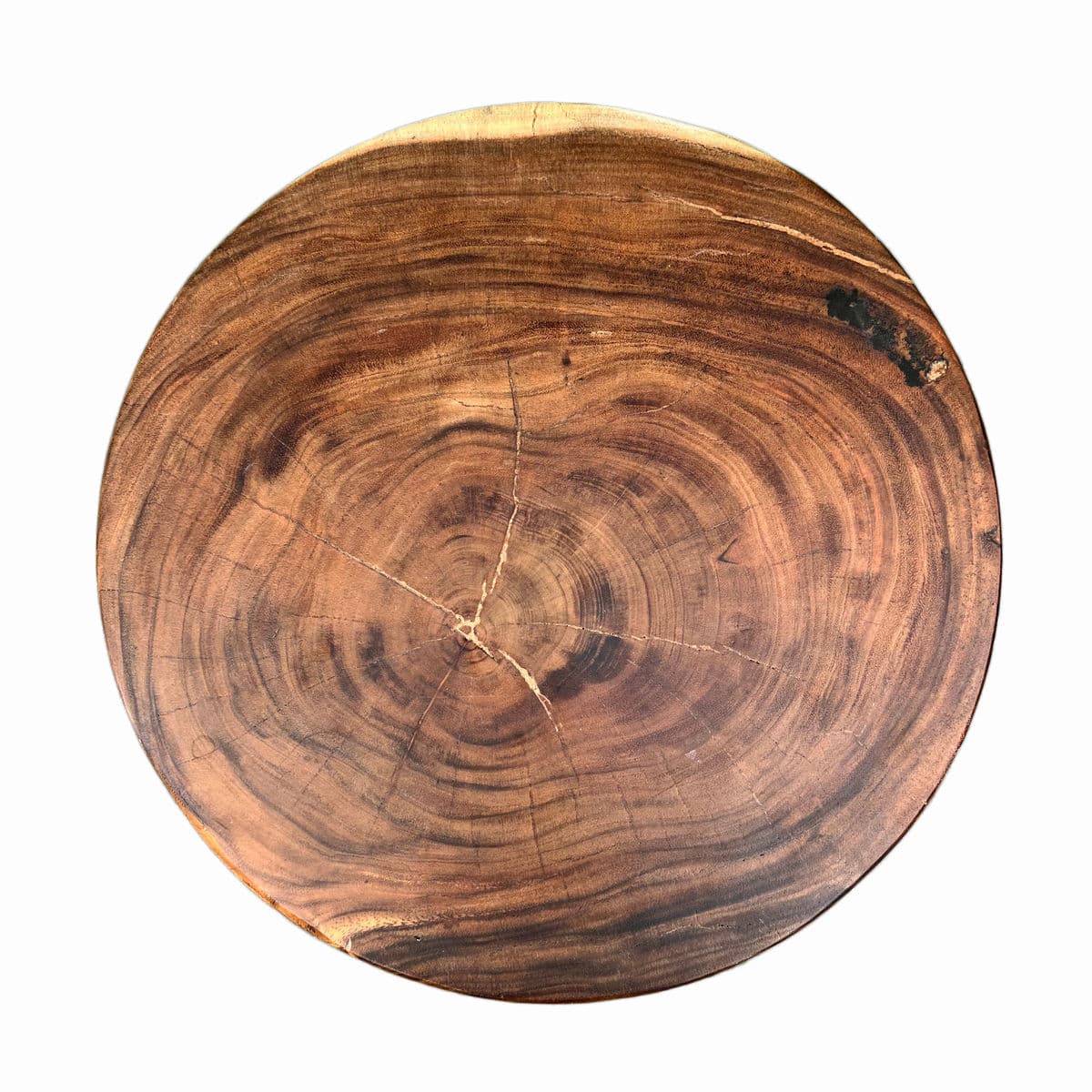 Monkey Pod Drum Stool Table - Thumbnail 4