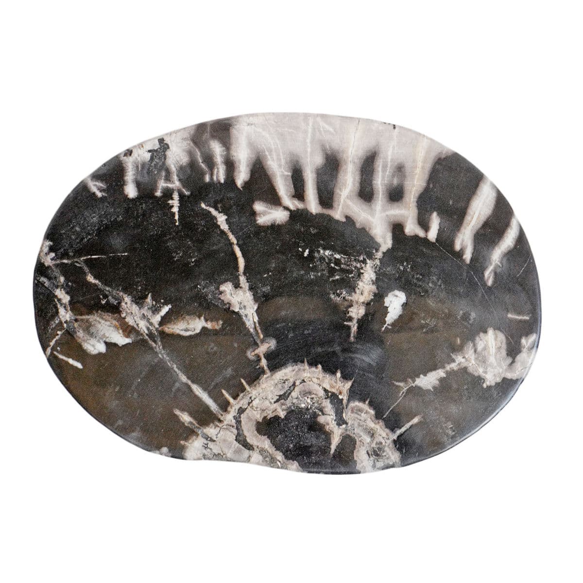 Petrified Wood Stump Stool - Thumbnail 5