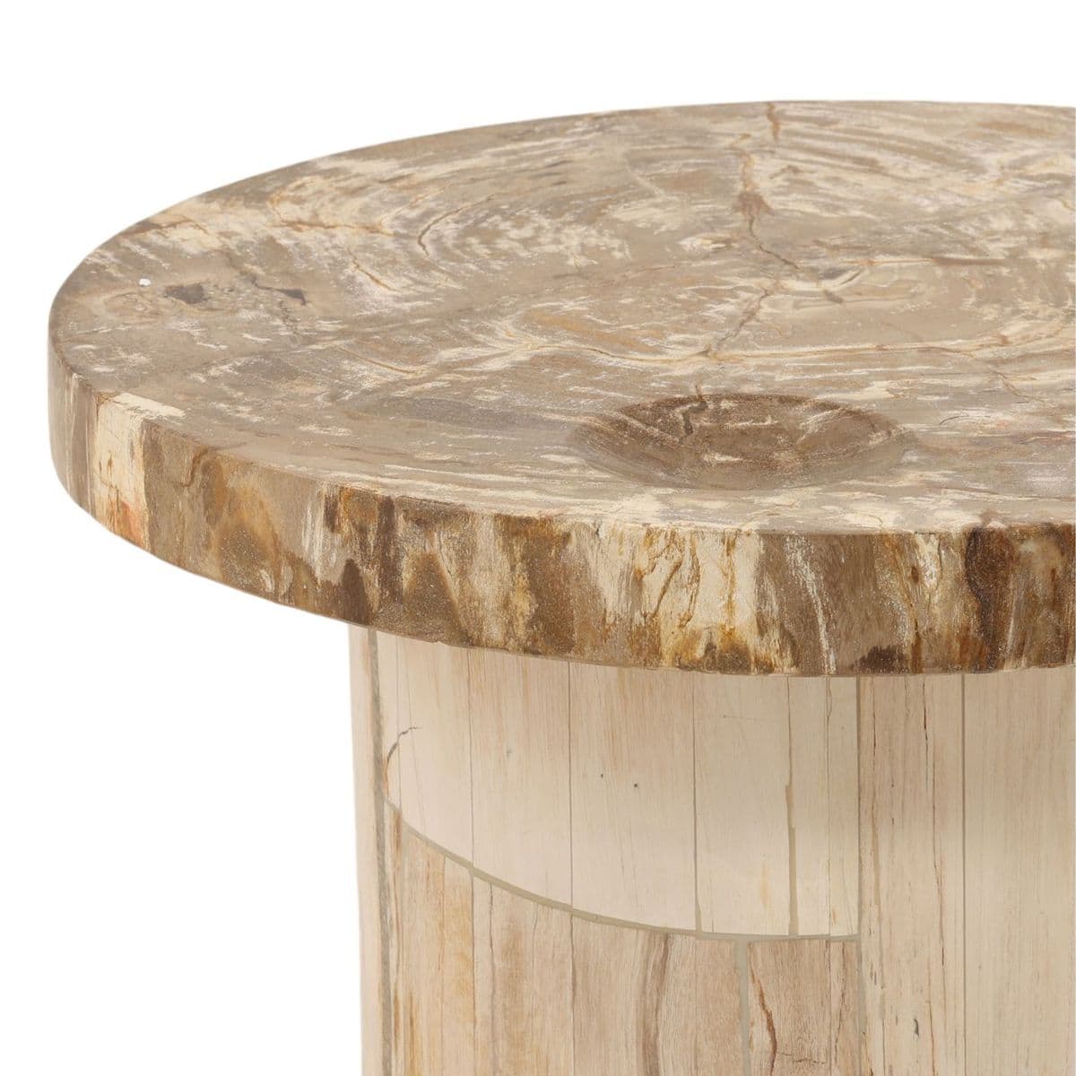 Modern Petrified Wood Coffee Table - Thumbnail 5