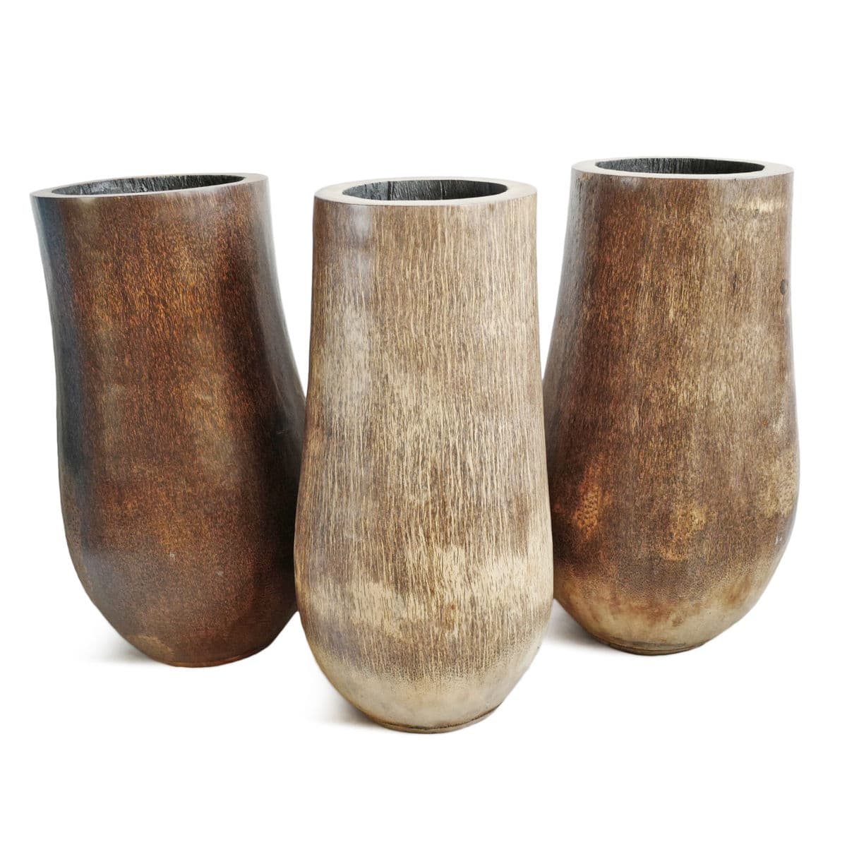 Coconut Palm Pot - Thumbnail 5