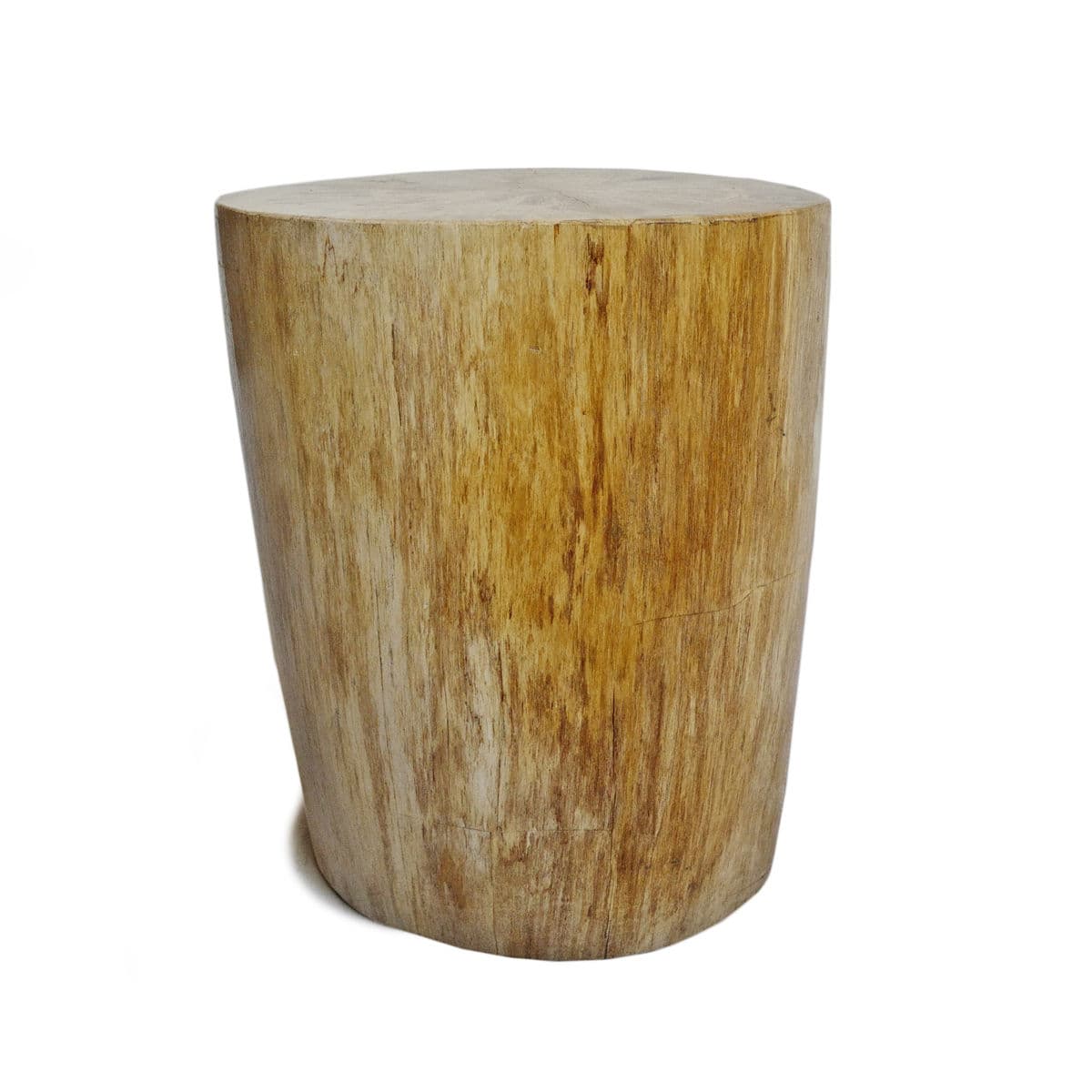 Petrified Stump Side Table - Thumbnail 5