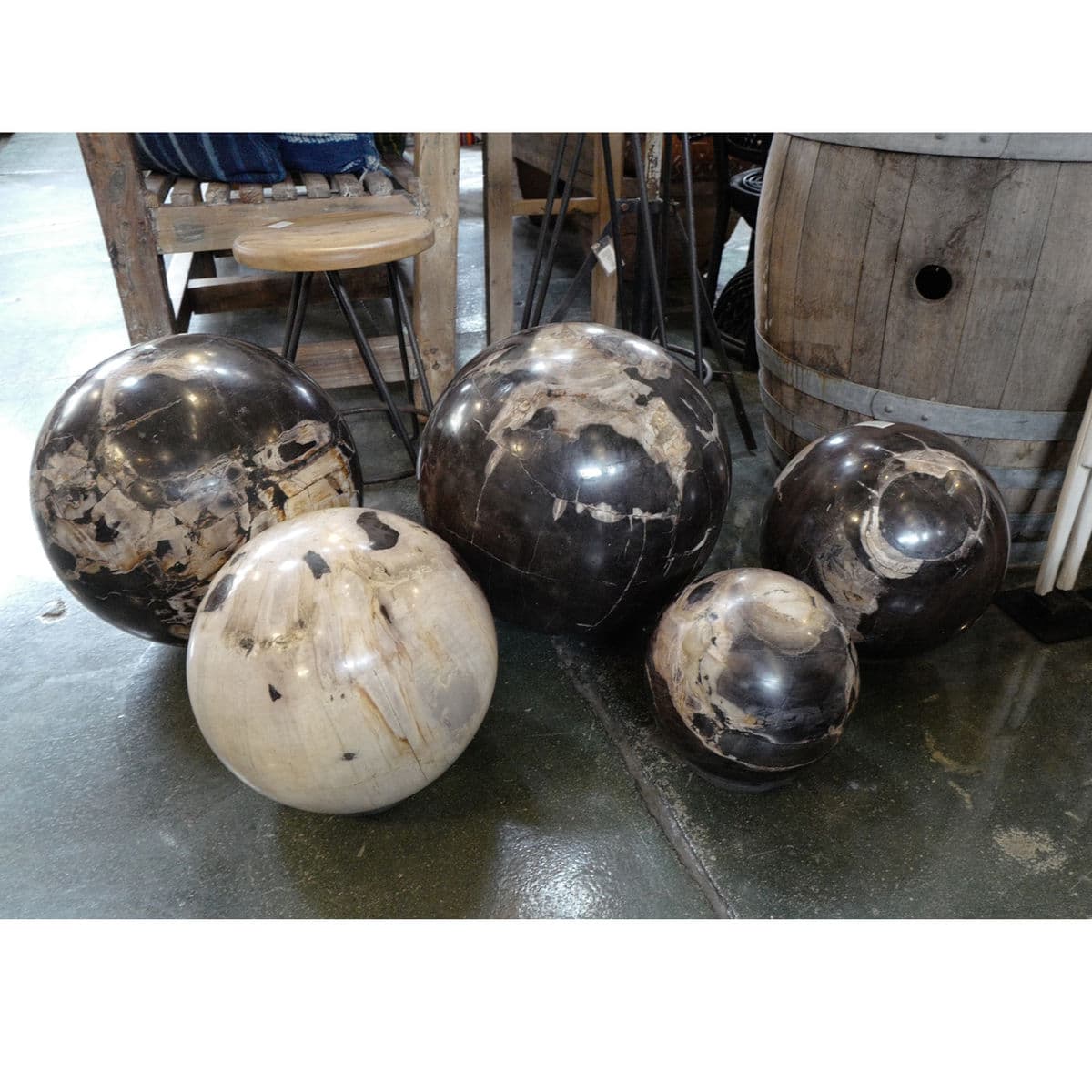 Large Petrified Wood Sphere - Thumbnail 5