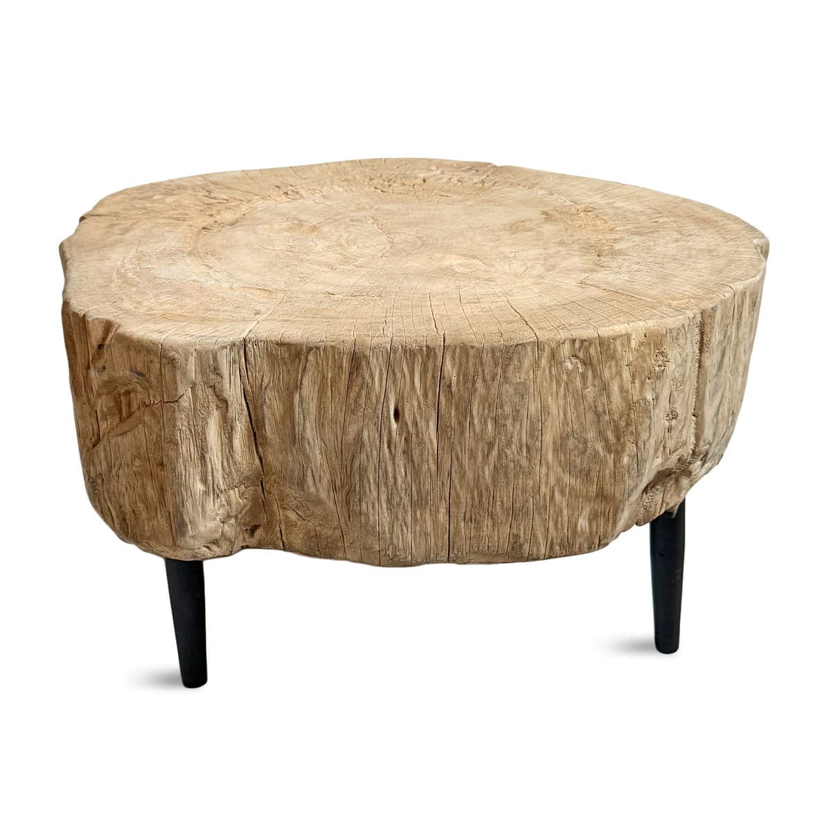 Organic Modern Raw Stump Low Table - Thumbnail 5
