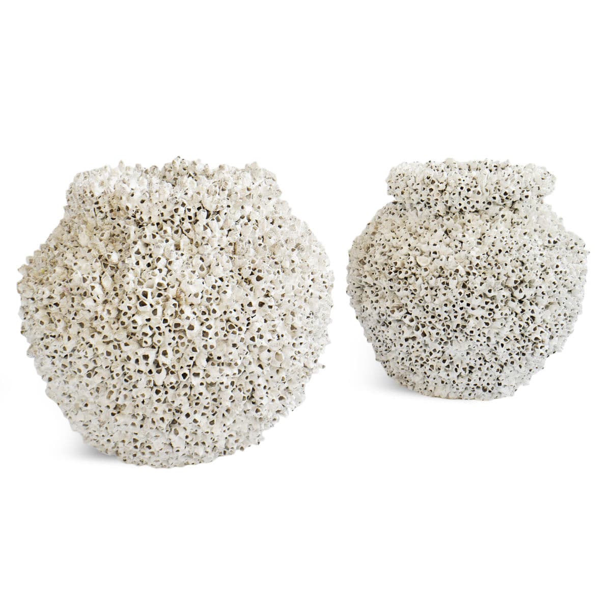 Vintage White Barnacle Shell Pot - Thumbnail 5