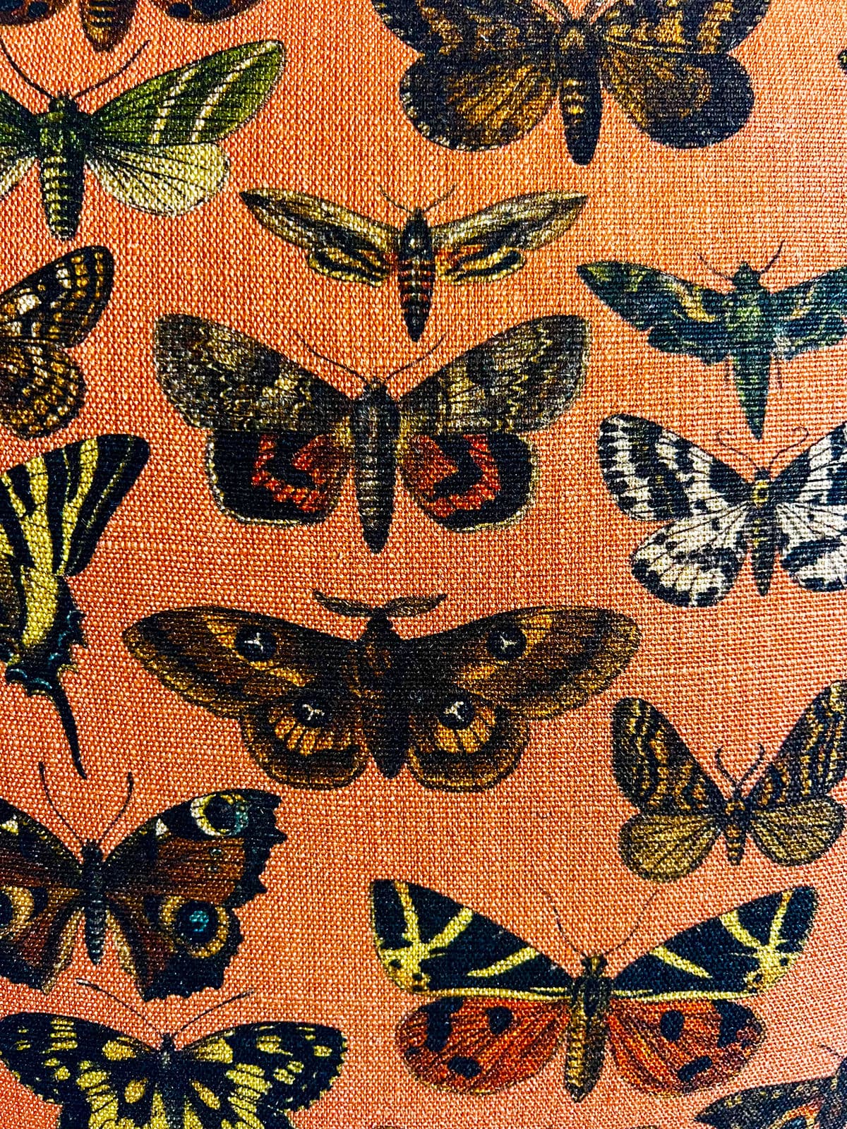 Orange Butterfly Pillow - Thumbnail 5
