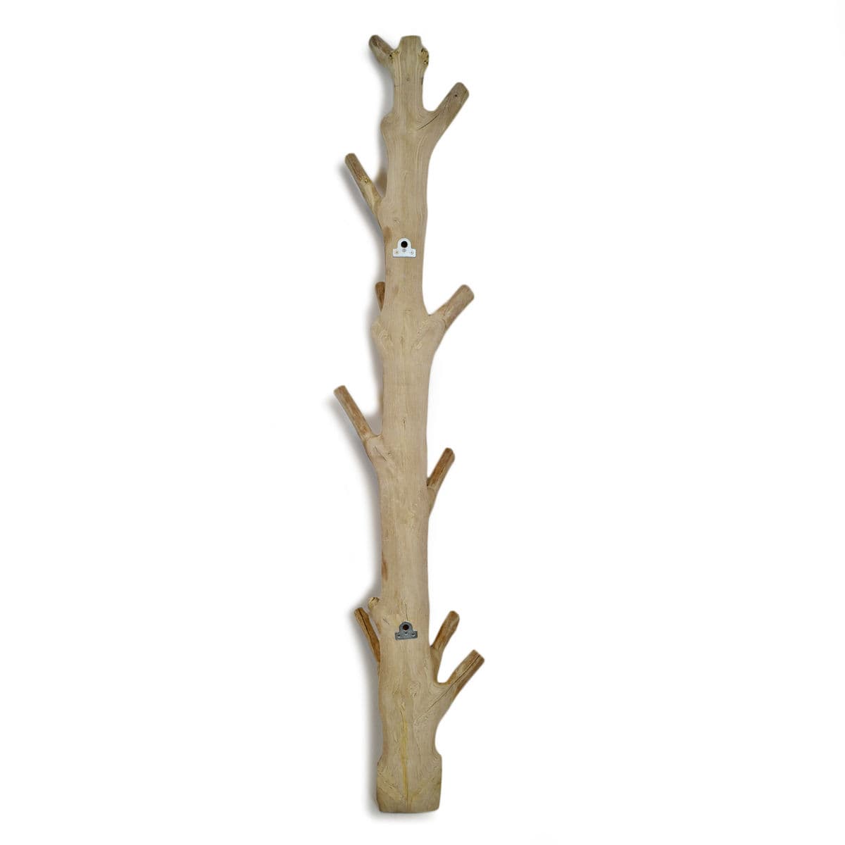 Natural Tree Wall Hook - Thumbnail 5