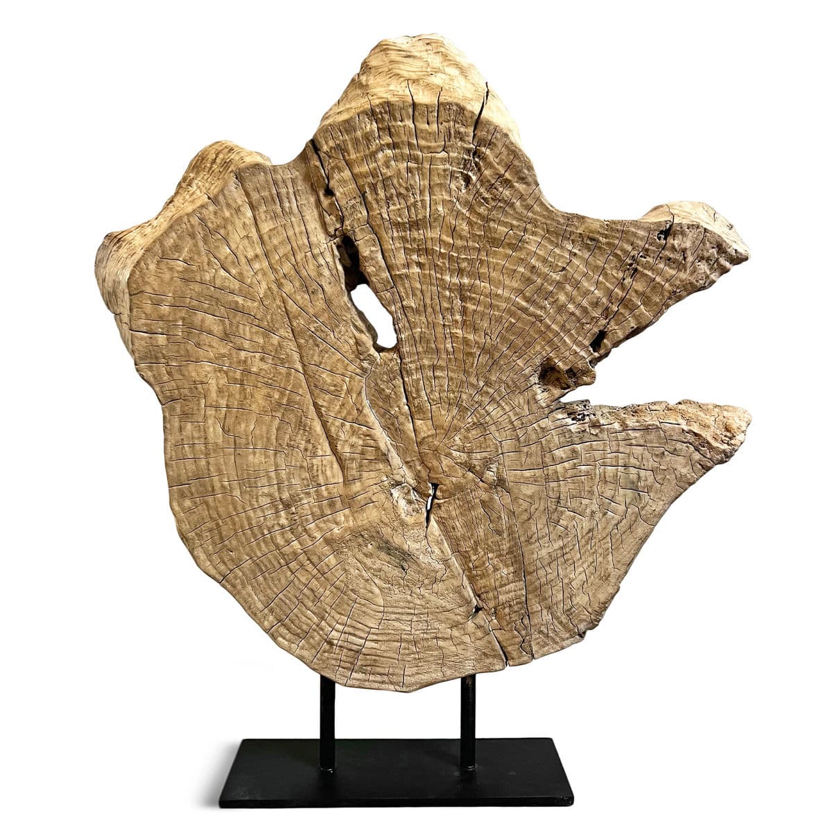 Organic Wood Form on Stand - Thumbnail 5