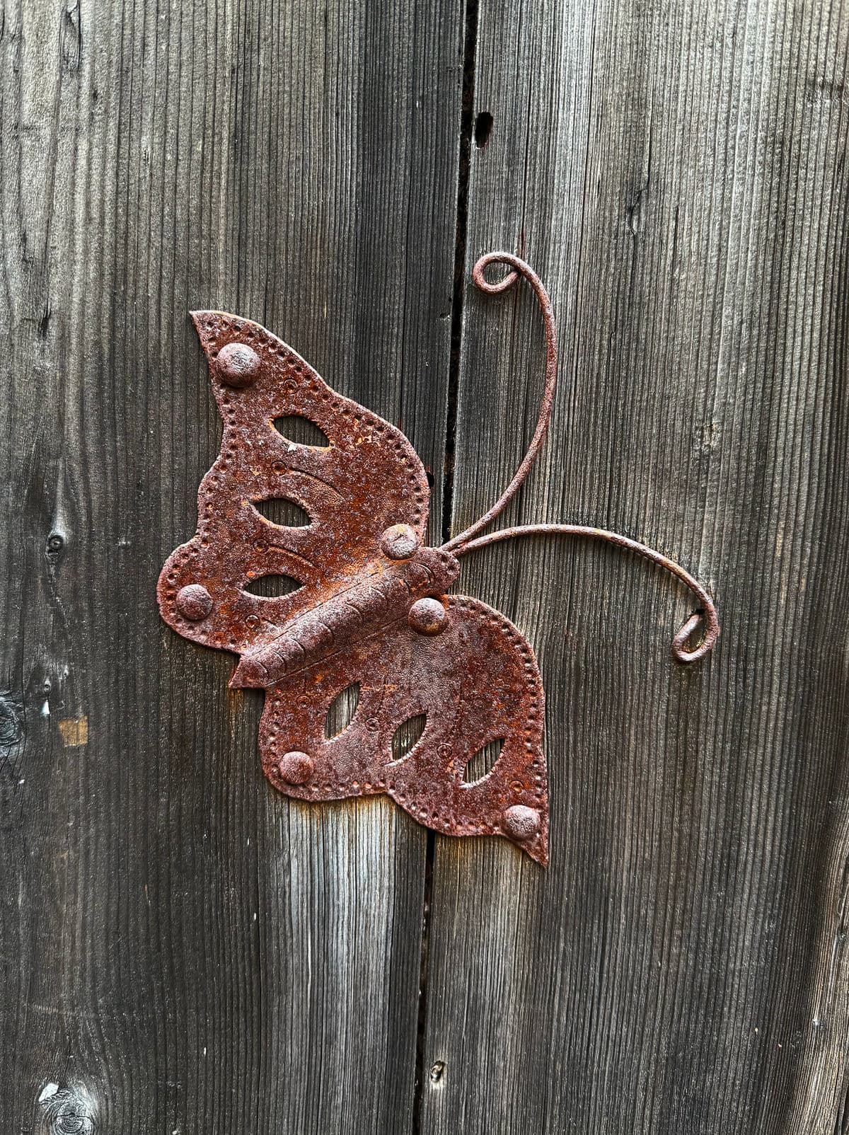 Old Mongolian Wood Door - Thumbnail 5