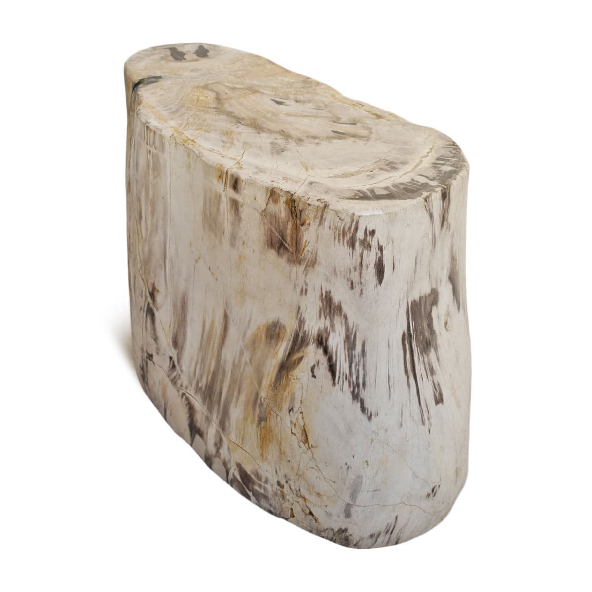 Petrified Wood Stump Stool Table - Thumbnail 5