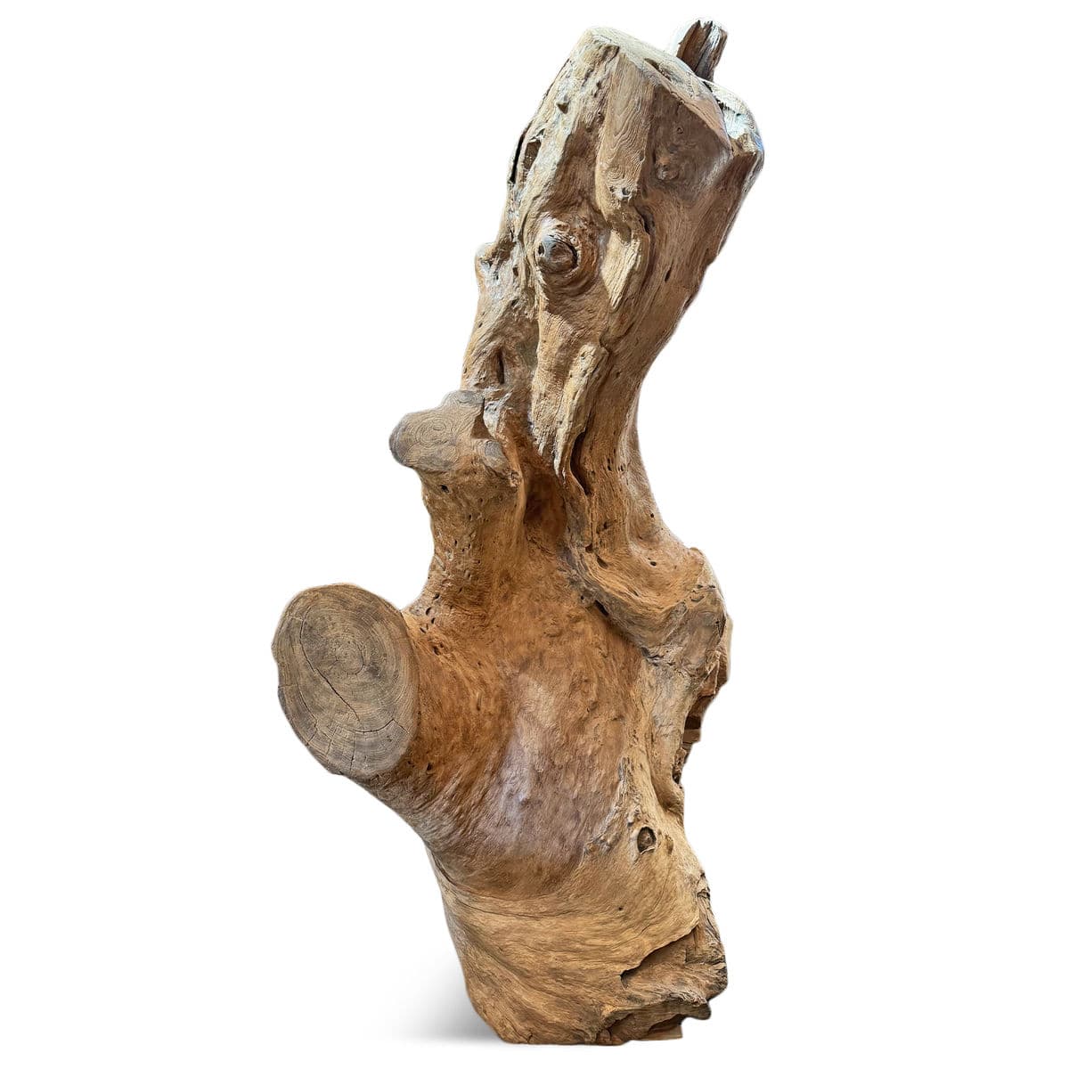 Giant Teak Root Throne Chair - Thumbnail 5