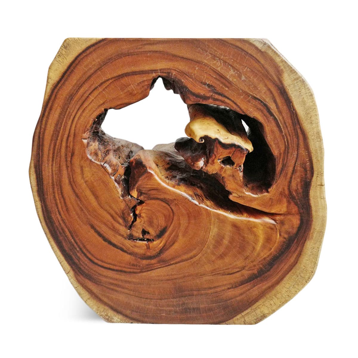 Organic Monkey Pod Hole Side Table - Thumbnail 5