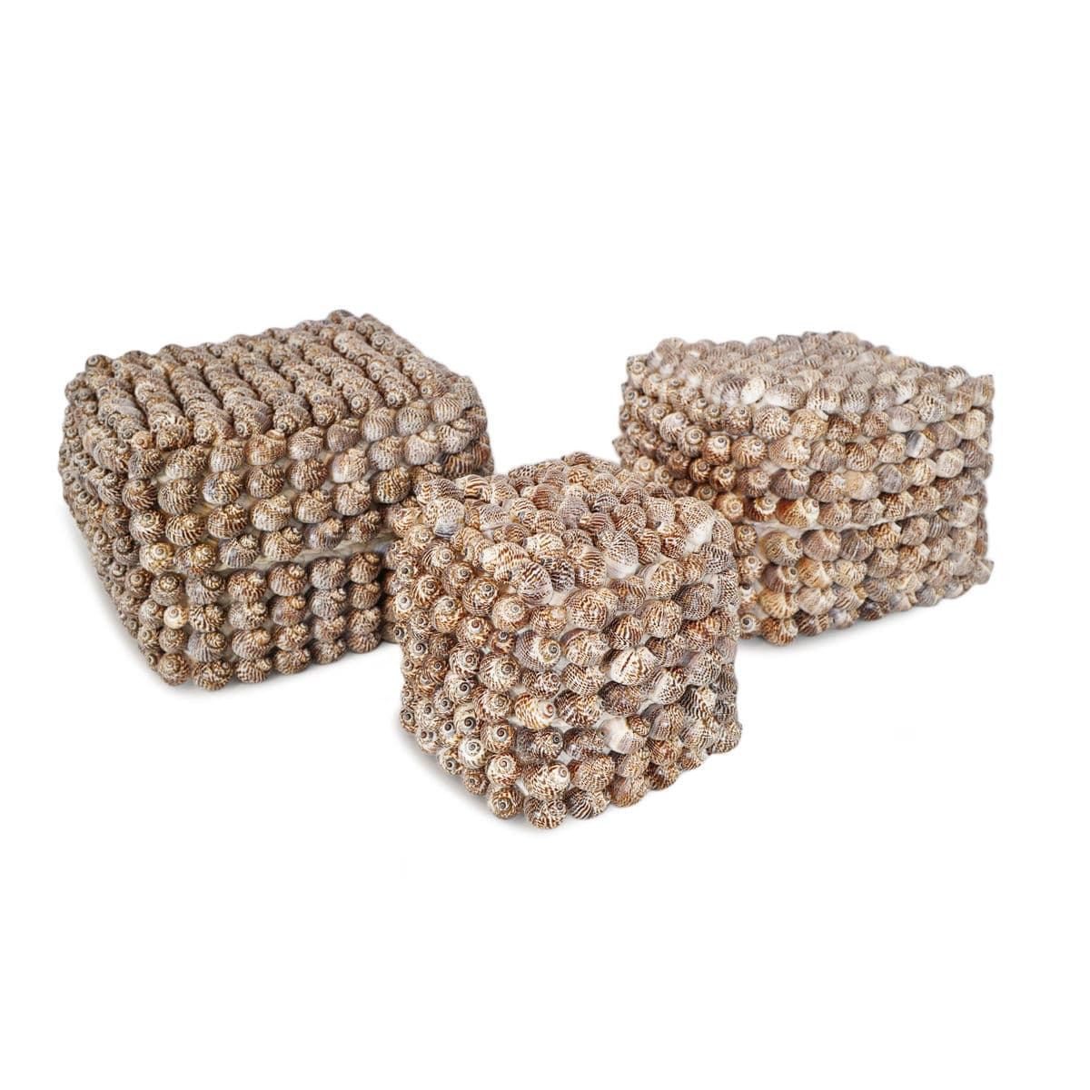 Bali Shell Box Large - Thumbnail 5