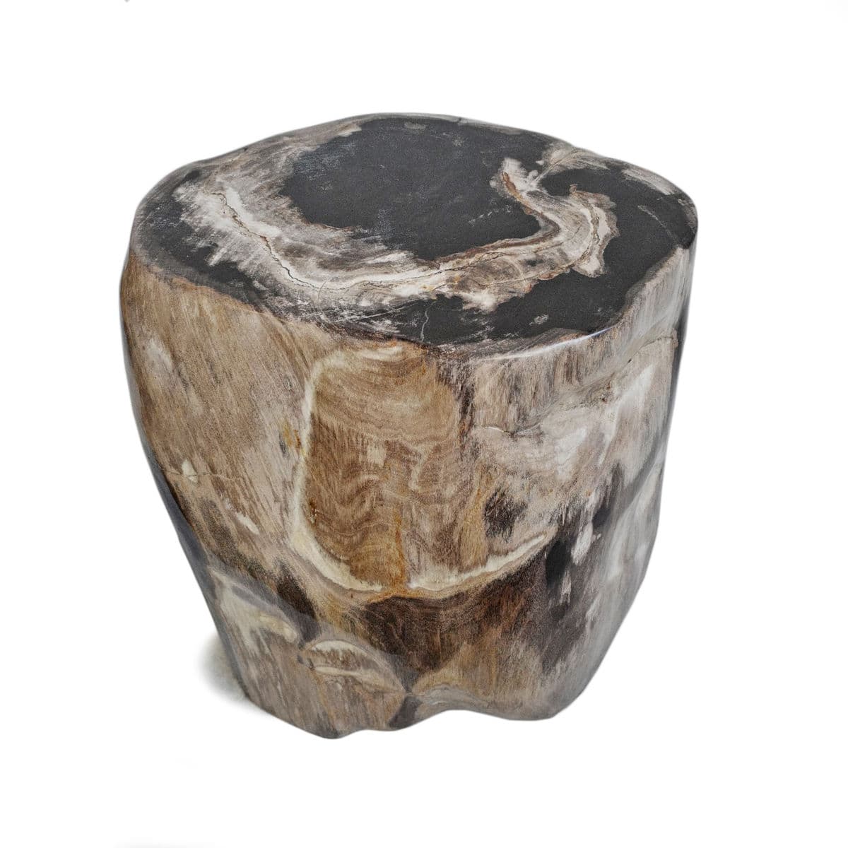 Petrified Stump Stool - Thumbnail 5