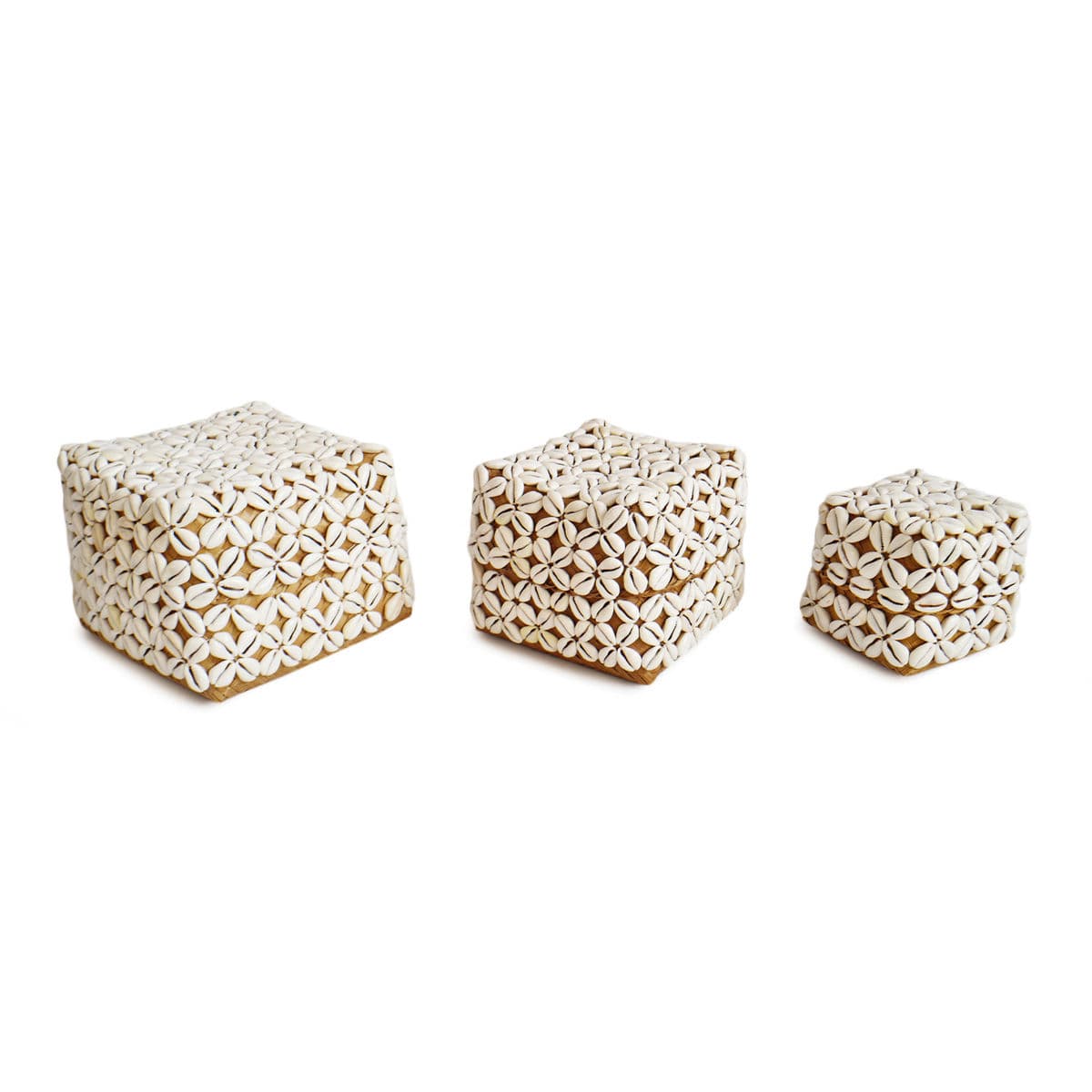 Cowry Shell Box Medium - Thumbnail 5