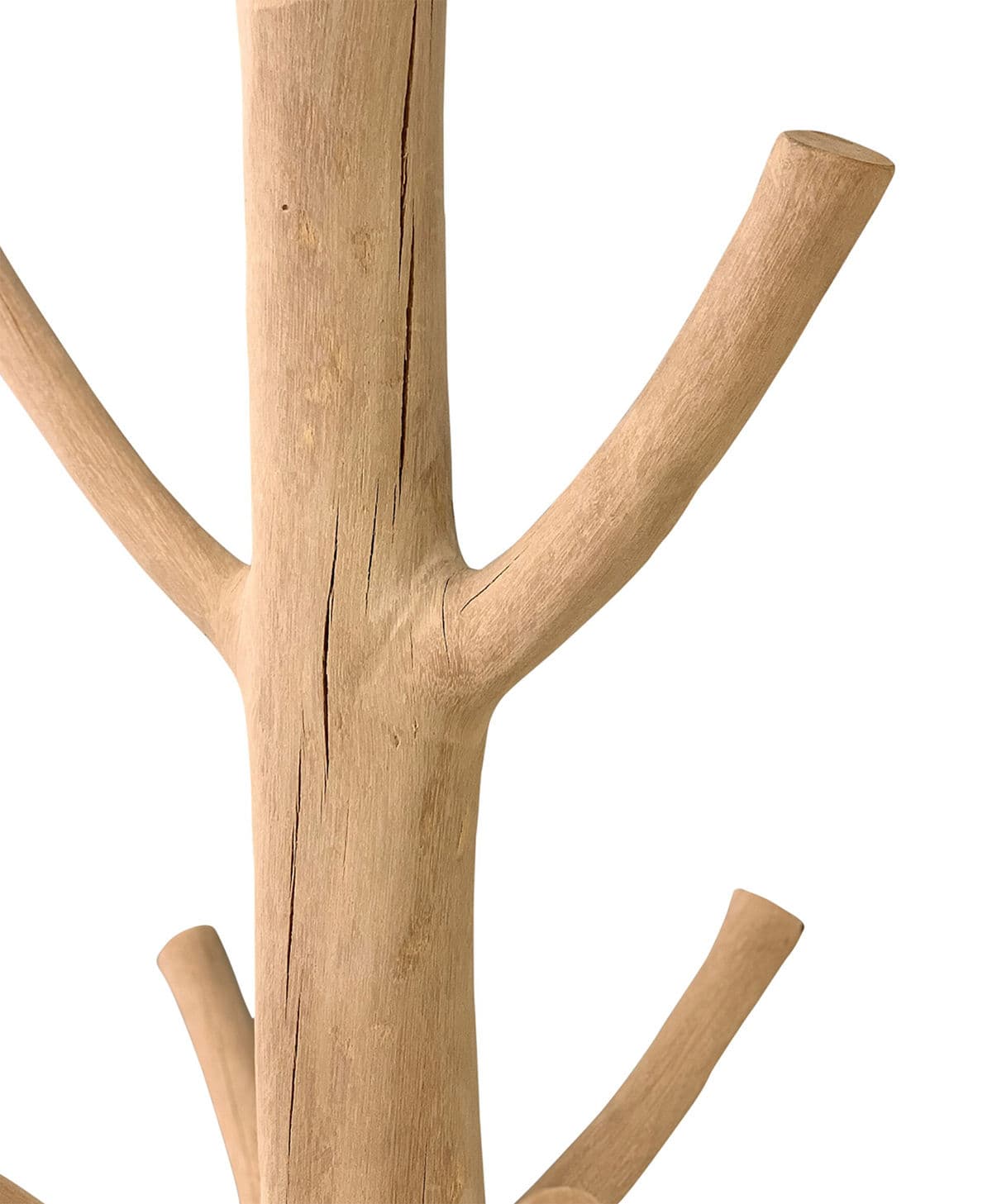 Natural Tree Hook Hanging Rack - Thumbnail 6