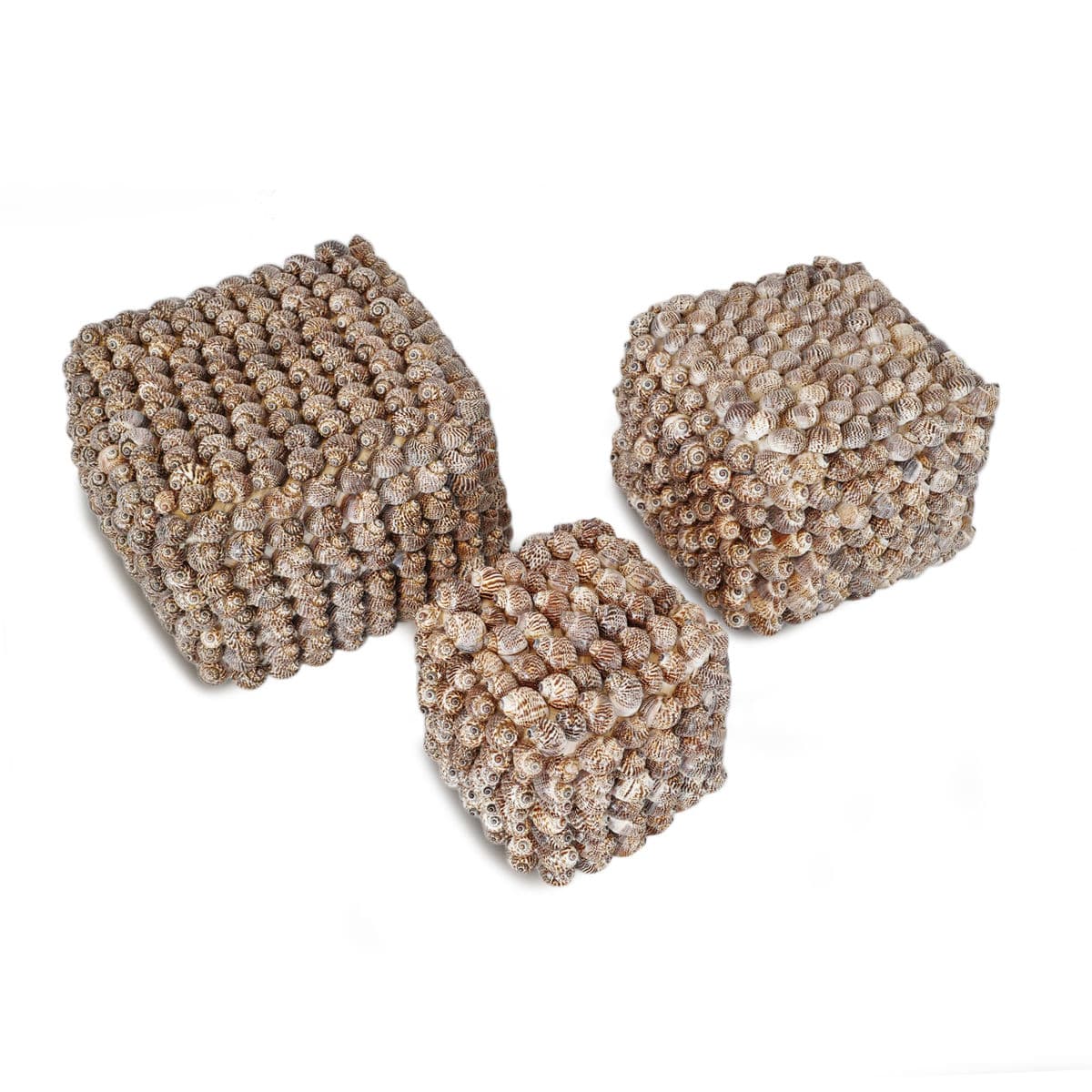 Bali Shell Box Large - Thumbnail 6