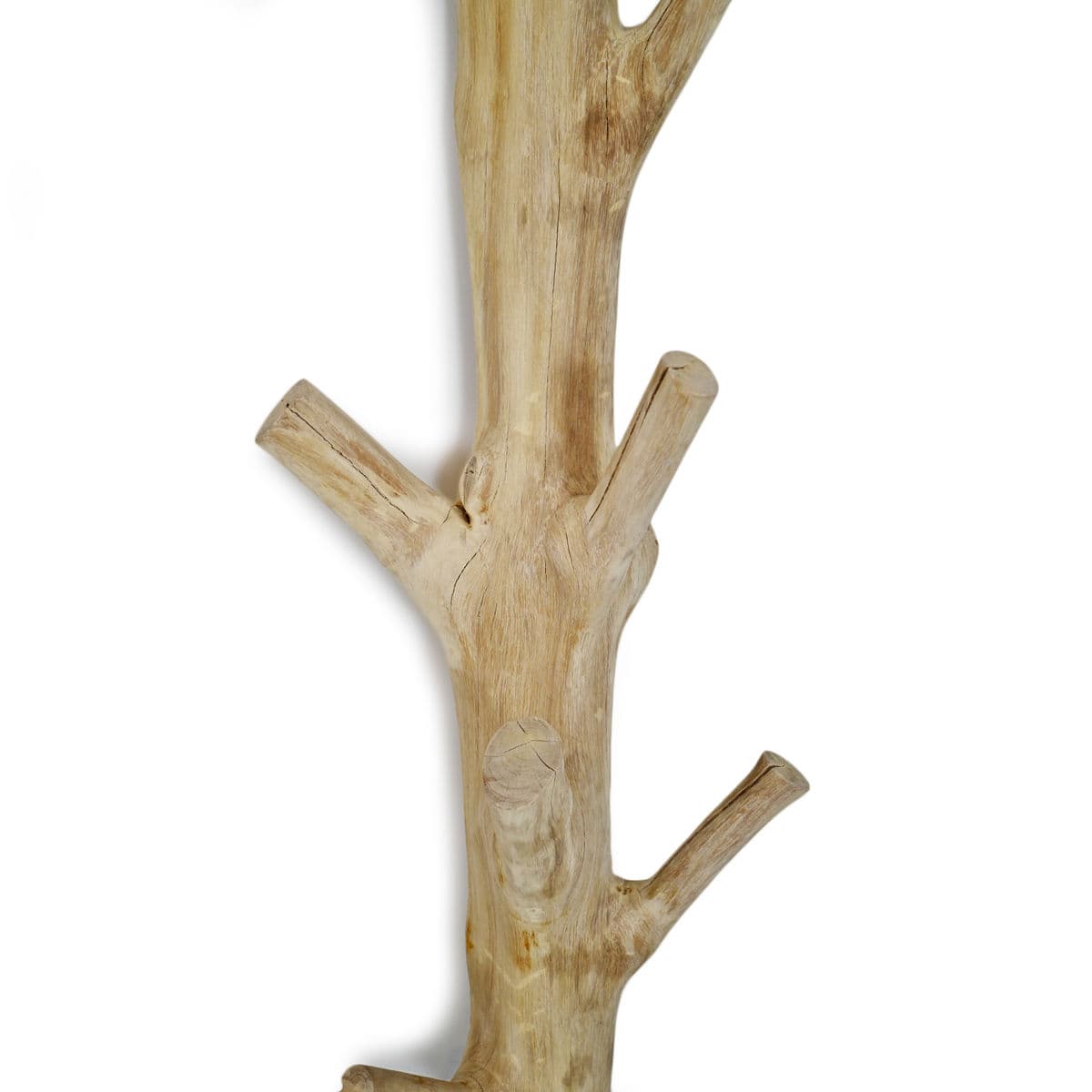Natural Tree Wall Hook - Thumbnail 6