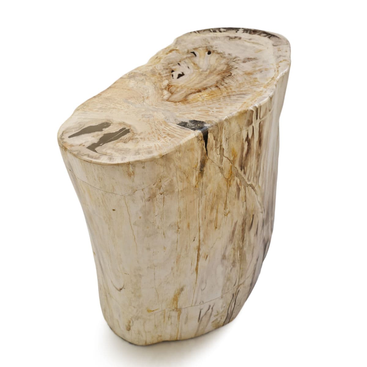 Petrified Wood Stump Stool Table - Thumbnail 6