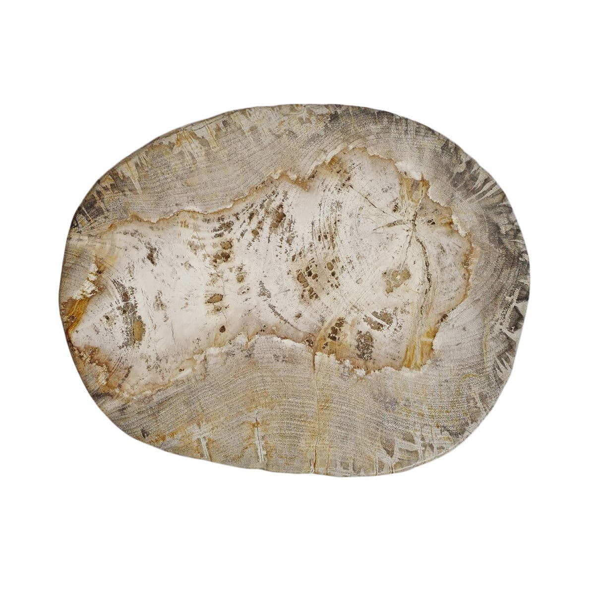 Petrified Stump Side Table - Thumbnail 6