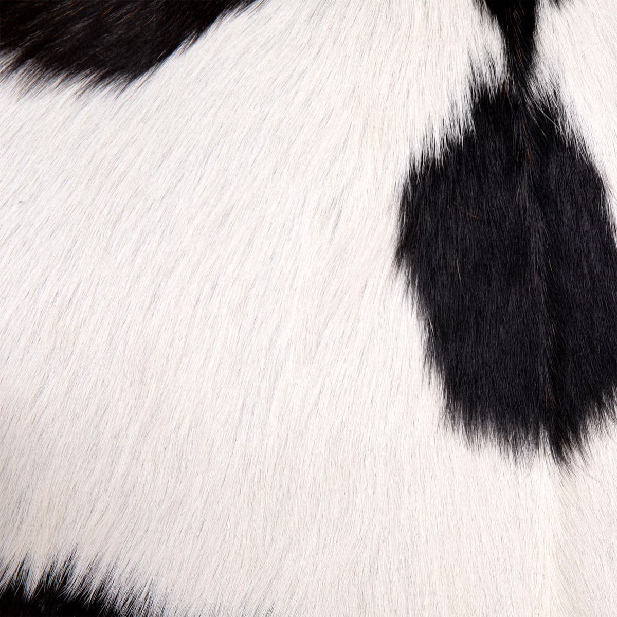 Black & White Deco Cow Chair - Thumbnail 6
