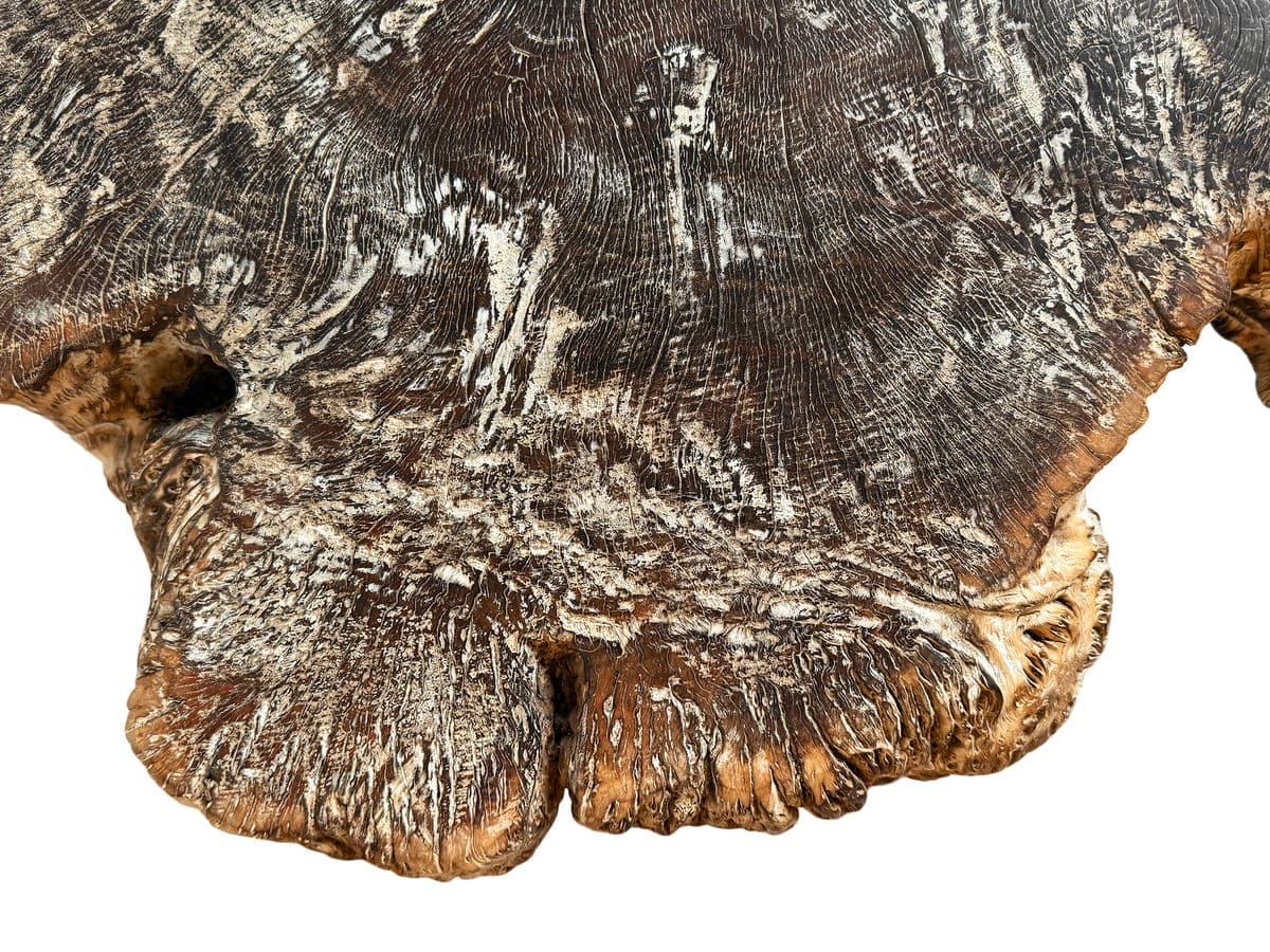 Organic Lychee Wood Coffee Table - Thumbnail 6