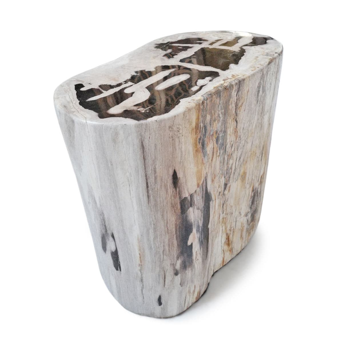 Petrified Wood Stump Stool Table - Thumbnail 6