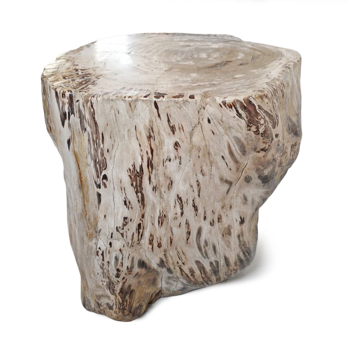 Petrified Wood Stump Stool Table - Thumbnail 6