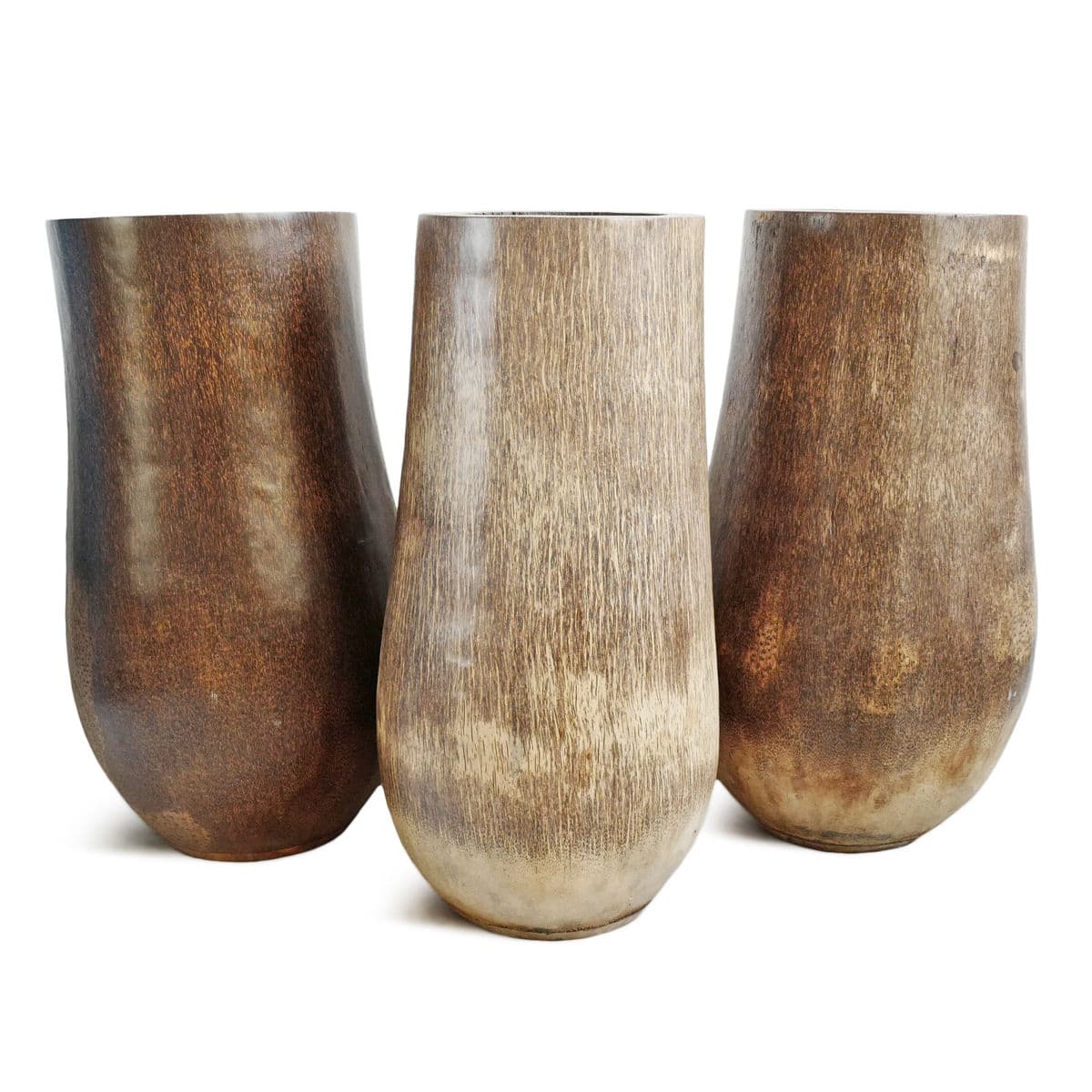 Coconut Palm Pot - Thumbnail 7