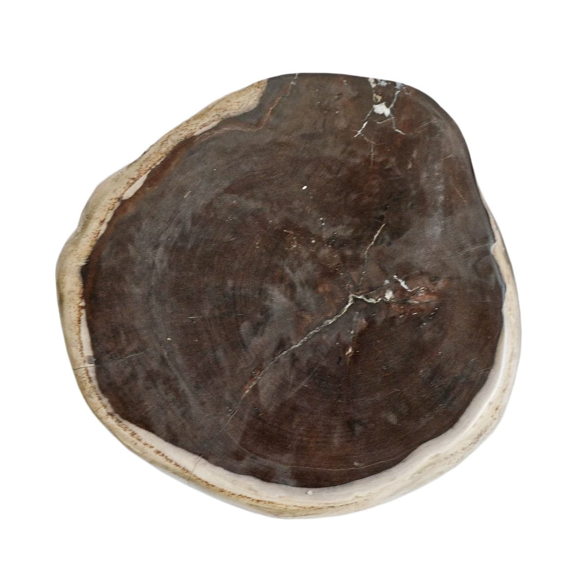 Petrified Wood Stump Stool Table - Thumbnail 7