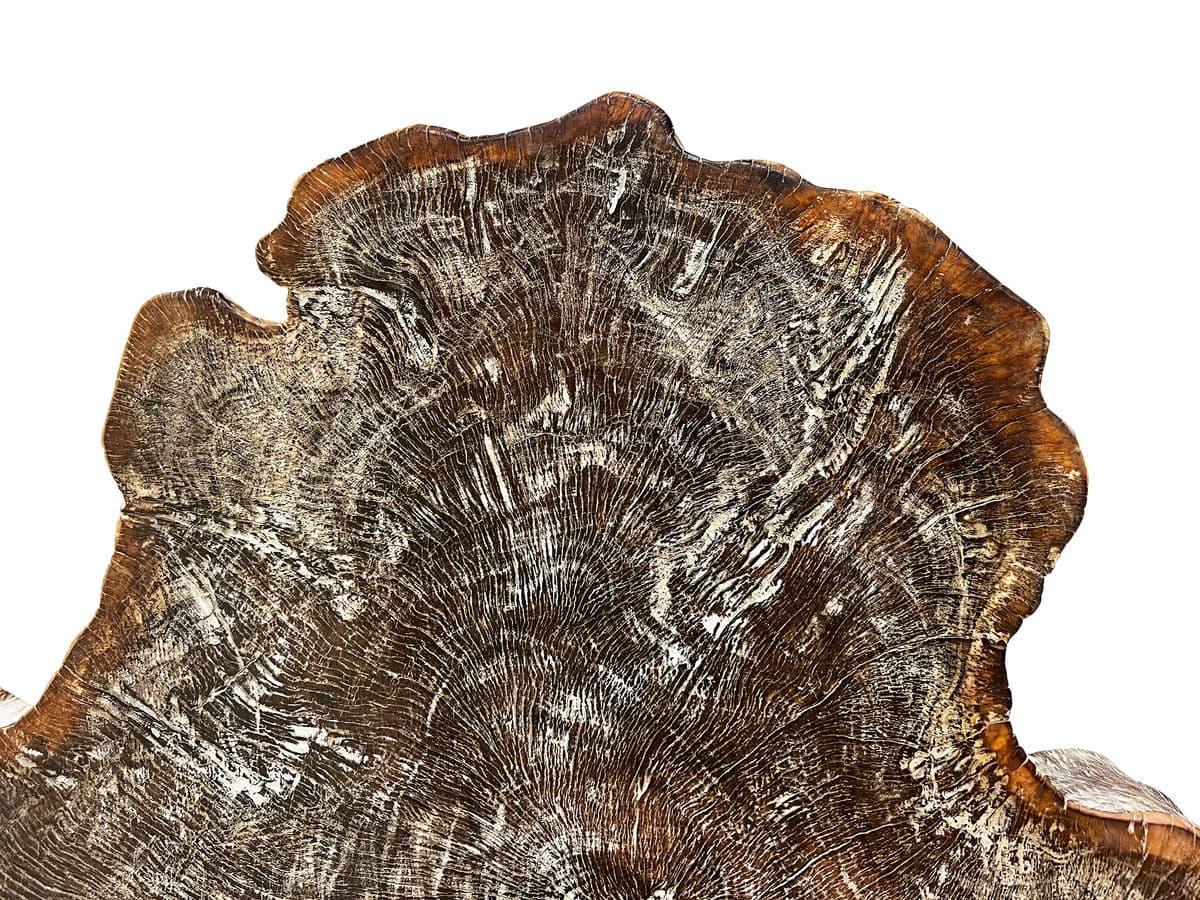 Organic Lychee Washed Coffee Table - Thumbnail 7