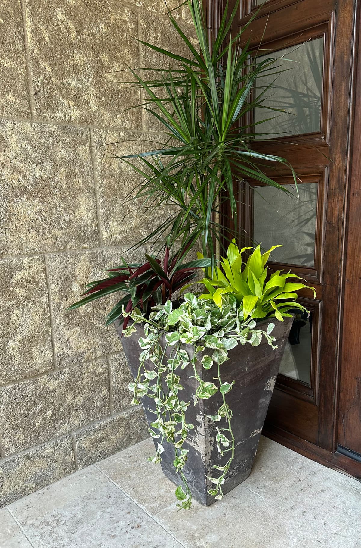 Tia Black Earth Ware Pot - Thumbnail 7