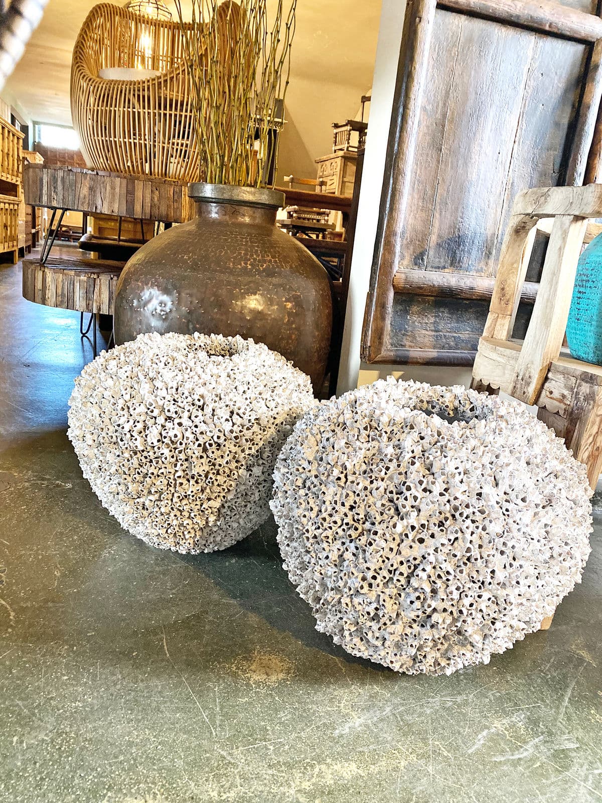 Vintage White Barnacle Shell Pot - Thumbnail 7