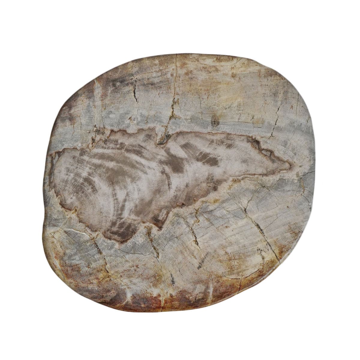 Petrified Stump Stool Table - Thumbnail 7