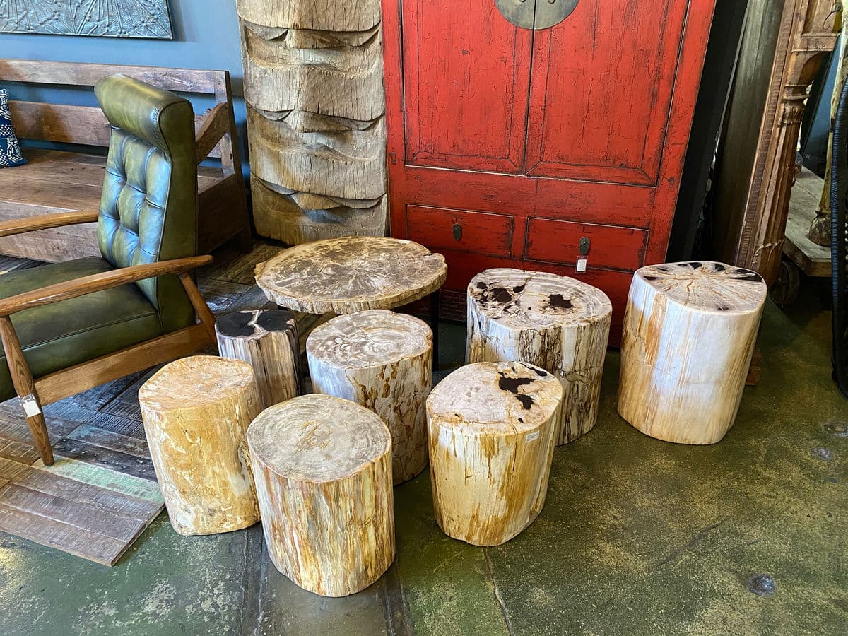 Petrified Stump Side Table / Stool - Thumbnail 7