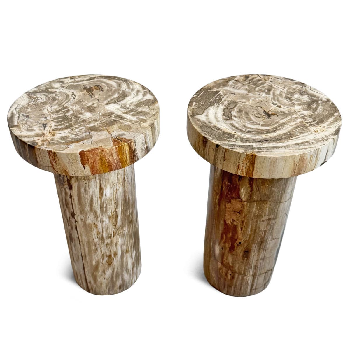 Petrified Wood Pillar Side Table - Thumbnail 8