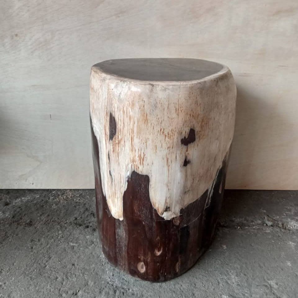 Petrified Wood Stump Stool Table - Thumbnail 8