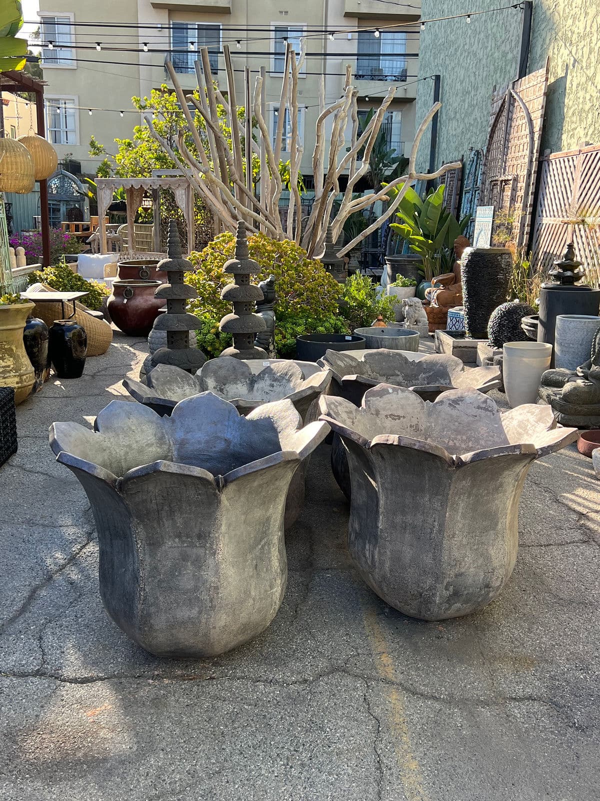 Large Black Tulip Earth Ware Pot - Thumbnail 9