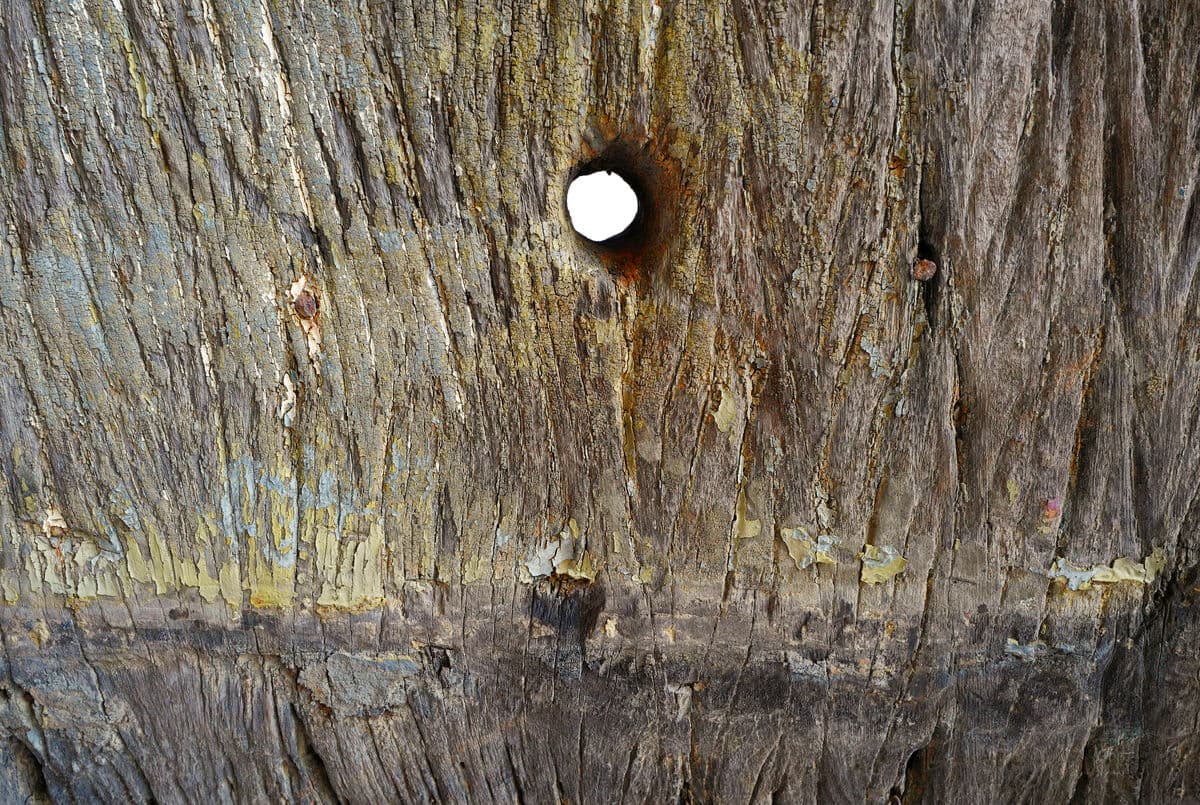 Old Thai Wood Boat Keel - Thumbnail 9