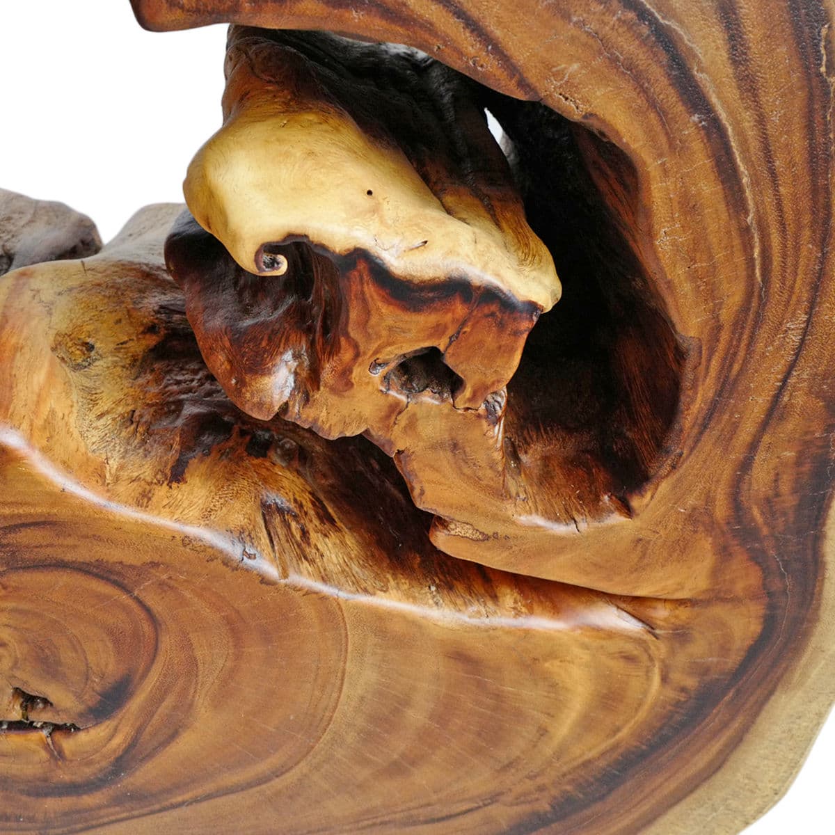 Organic Monkey Pod Hole Side Table - Thumbnail 9