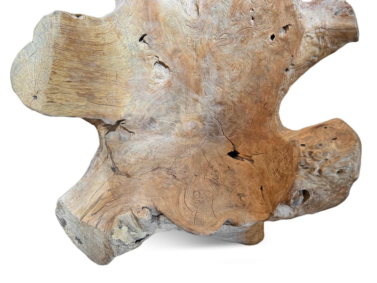 Giant Teak Root Throne Chair - Thumbnail 10