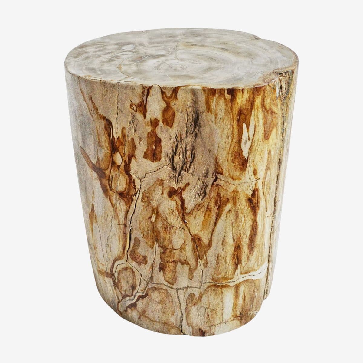 Petrified Stump Side Table - Image 1